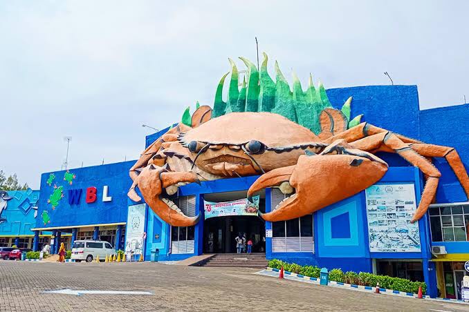 Jelajahi Dunia Bahari di Wisata Bahari Lamongan (WBL)