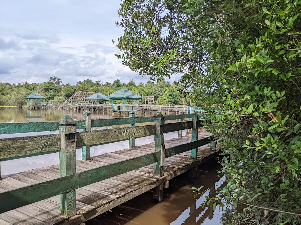 Pesona Danau Tahai: Surga Tersembunyi di Kalimantan Tengah
