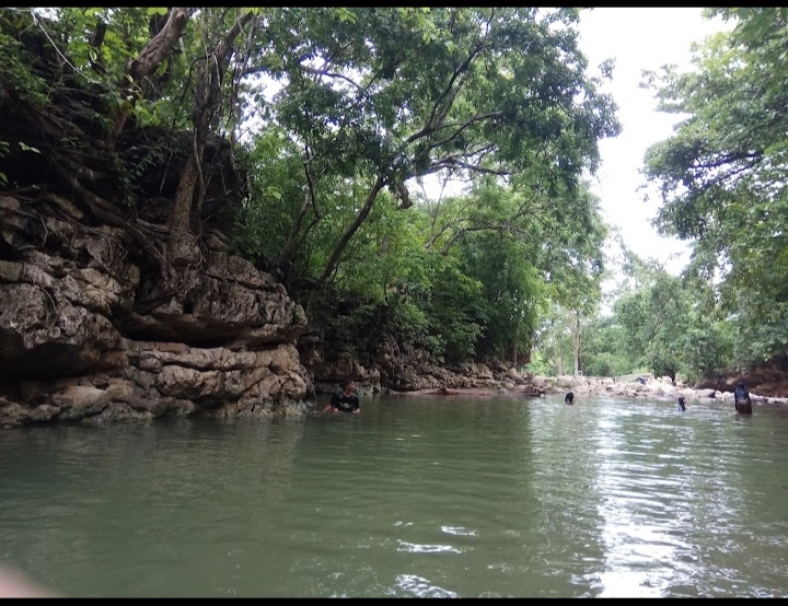 Liang Petang: Pesona Tersembunyi di Moyo Hulu, Sumbawa