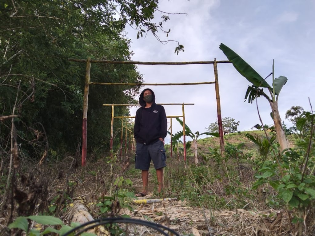 Puncak Taidahu: Pesona Alam Tersembunyi di Konawe Selatan