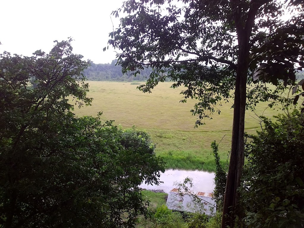 Pesona Alam Wisata Danau Laut Tador: Surga Tersembunyi di Sumatera Utara