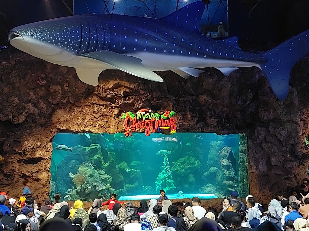 Sea World Indonesia Ancol: Petualangan Bawah Laut di Jakarta
