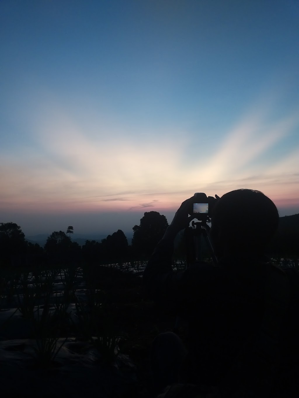 Curug Surodipo: Pesona Air Terjun Tersembunyi di Temanggung