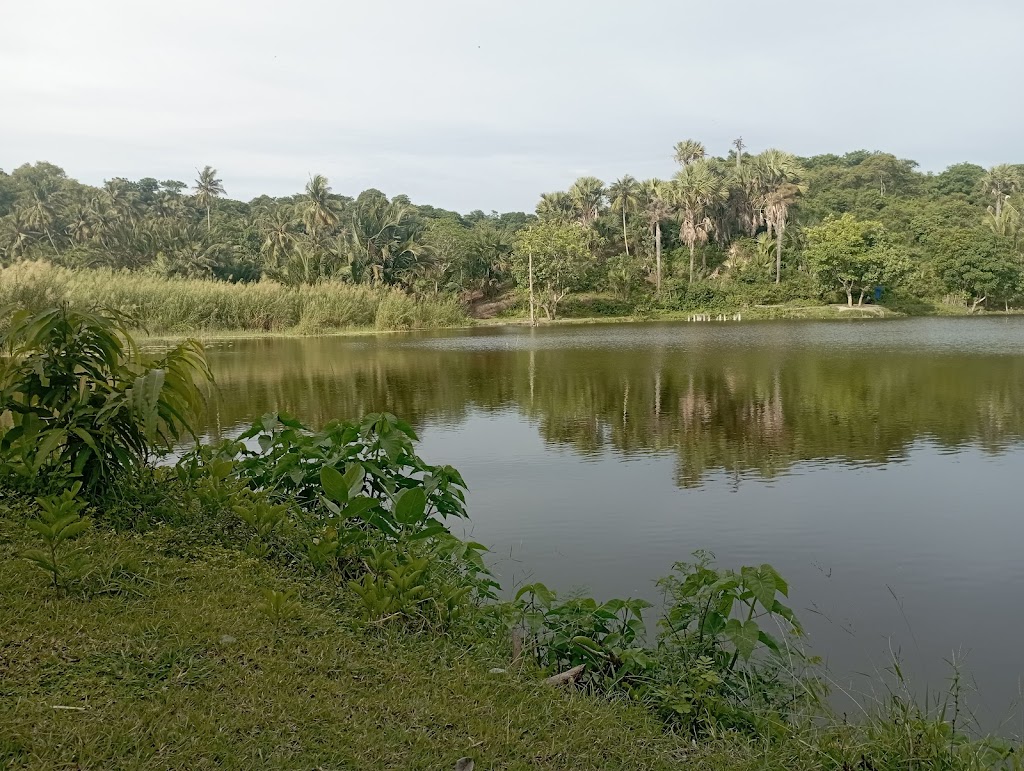 Pesona Telaga Sibili Pantoloan: Surga Tersembunyi di Sulawesi Tengah