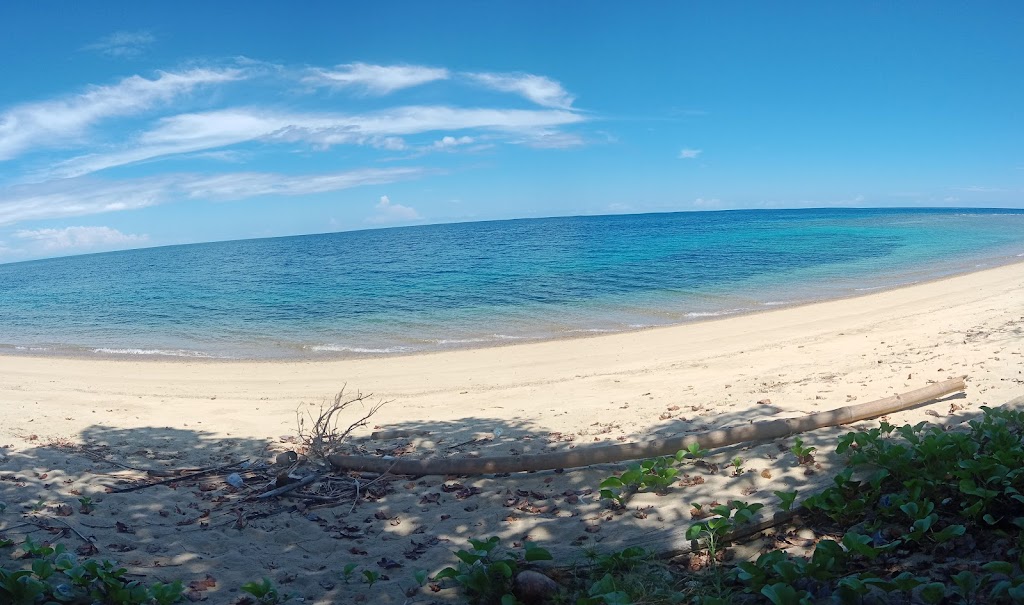 Pesona Pantai Kayu Bura: Surga Tersembunyi di Sulawesi Tengah