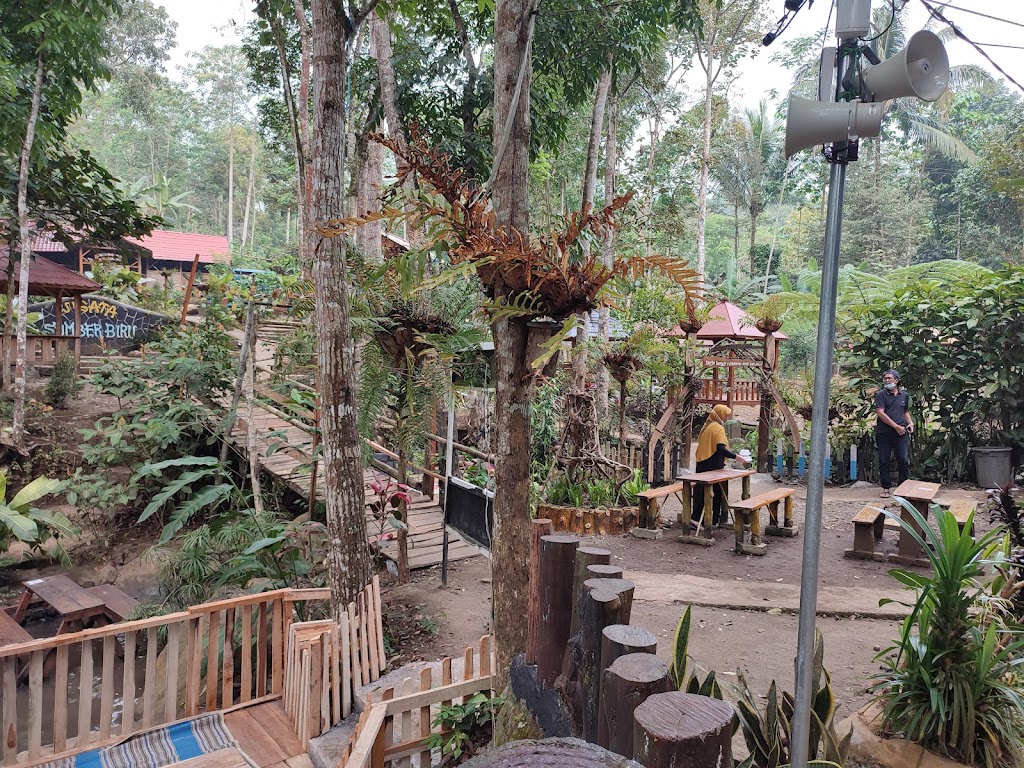 Sejuknya Sumber Biru: Pesona Wana Wisata di Jombang