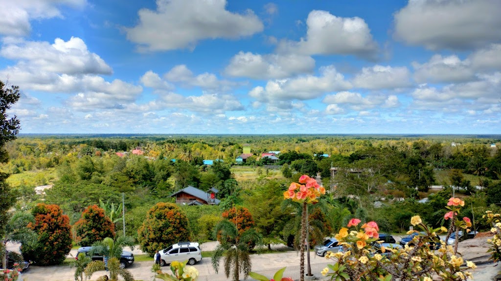 Manasa Agrowisata: Petualangan Menyenangkan di Tengah Kehijauan Kalimantan Tengah