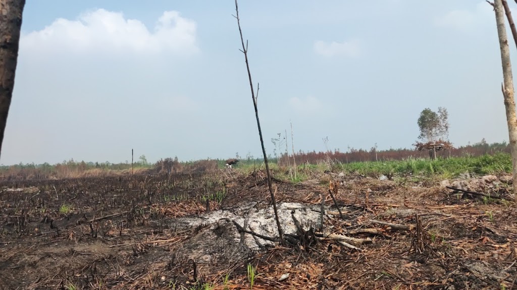 Jelajah Pulau Bangka Belitung: Surga Tersembunyi di Kepulauan Bangka Belitung