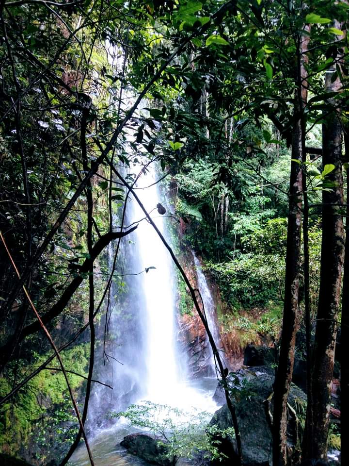 Air Terjun Tujuh Tingkat: Pesona Alam Tersembunyi di Kuantan Singingi