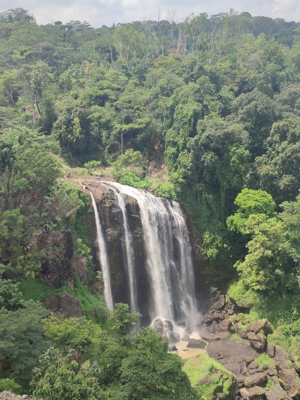 Curug Sewu: Air Terjun Seribu di Kendal, Jawa Tengah