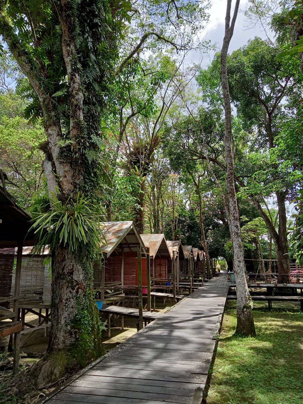 Jelajah Taman & Kuliner Kumkum: Surga Tersembunyi di Palangka Raya