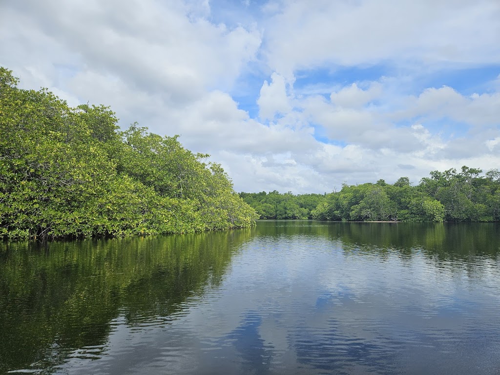 Jelajah Bakau Pulau Tagalaya: Keindahan Tersembunyi di Maluku Utara