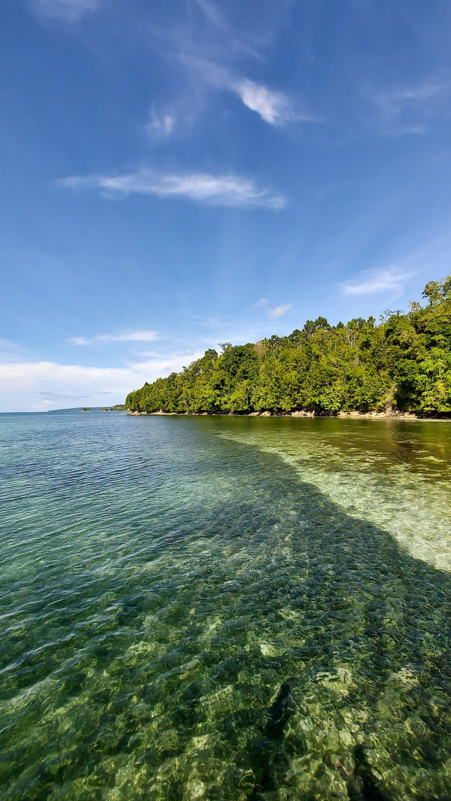 Jelajahi Snudi Paradise: Surga Tersembunyi di Biak Numfor