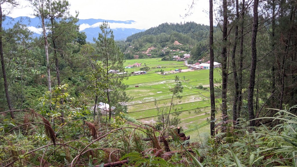 Bukit Loncinan: Pesona Alam Tersembunyi di Mamasa, Sulawesi Barat