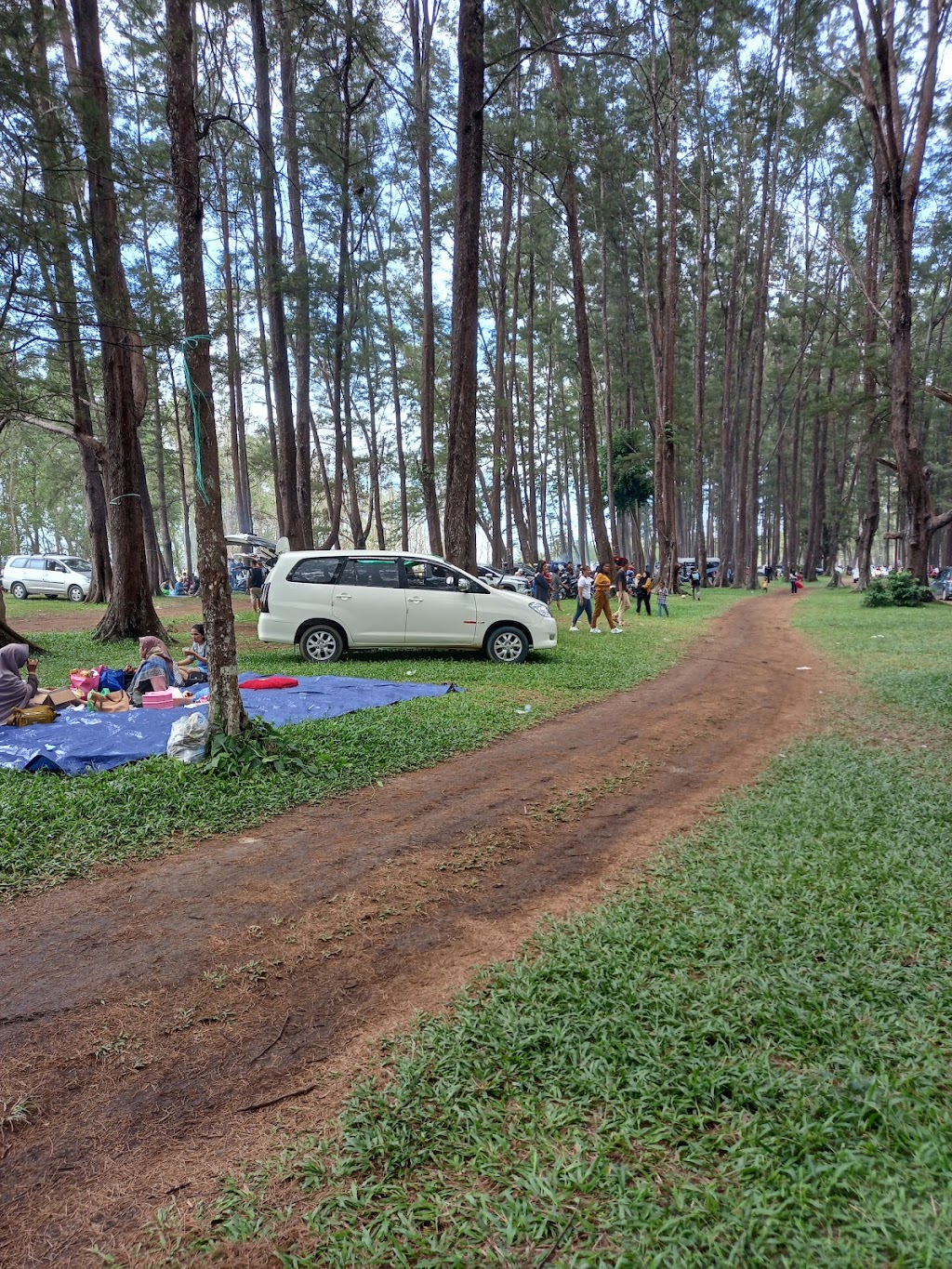 Pesona Pantai Tanah Merah Tanjung Harapan: Surga Tersembunyi di Kalimantan Timur