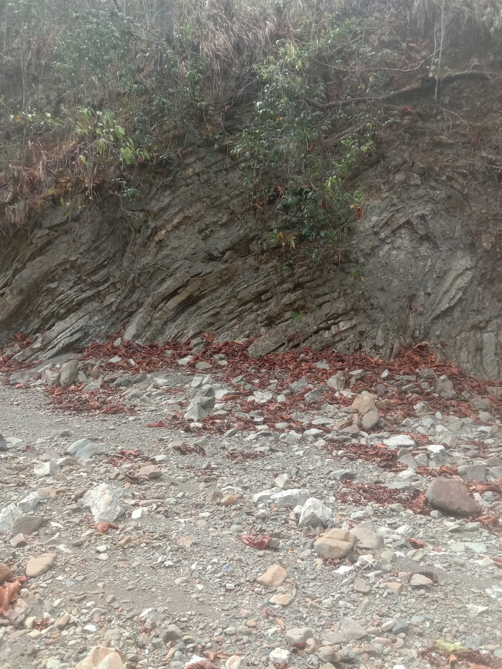 Jelajah Batu Nanas: Pesona Tersembunyi di Maluku Tengah