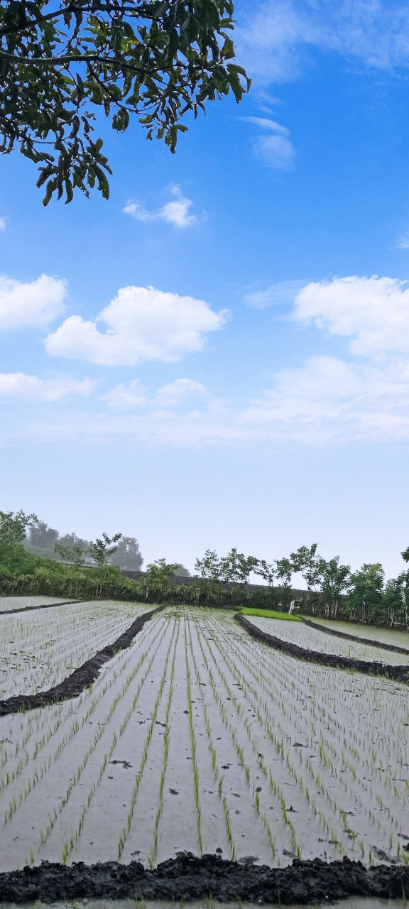 Malamara: Pesona Tersembunyi di Ngada, Nusa Tenggara Timur