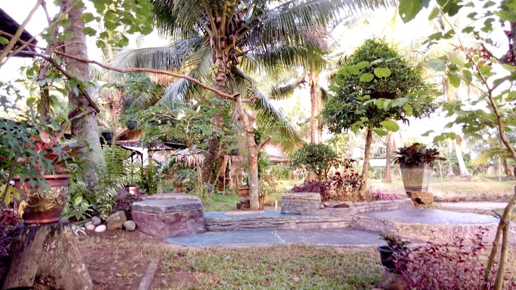 Lembah Sakura Palembang: Keindahan Jepang di Sumatera Selatan