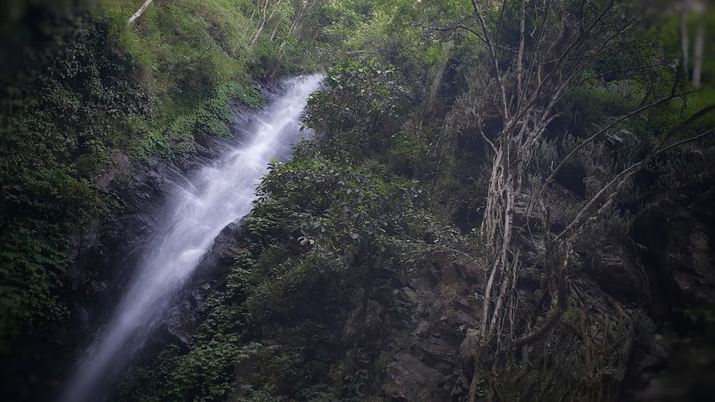 Air Terjun Dlundung: Pesona Alam Tersembunyi di Mojokerto