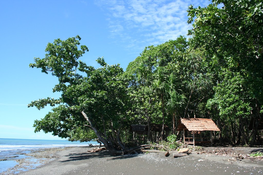 Ungkea Beach: Pesona Pantai Tersembunyi di Morowali Utara