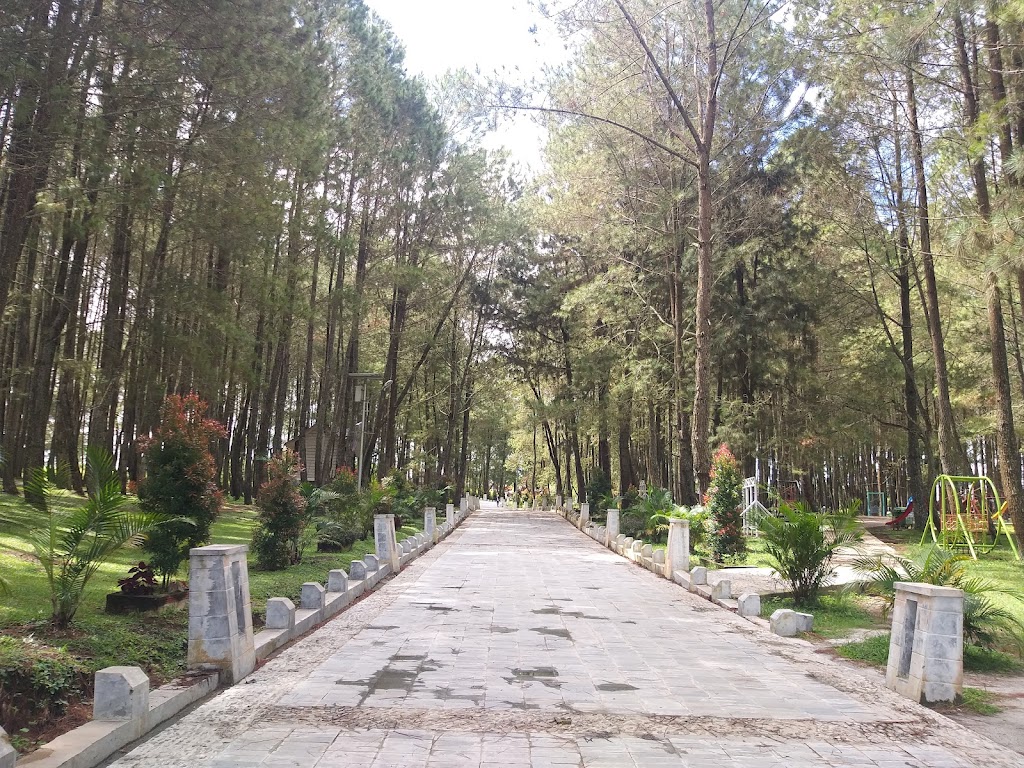 Jelajahi Geosite Sipinsur: Pesona Alam Sumatera Utara