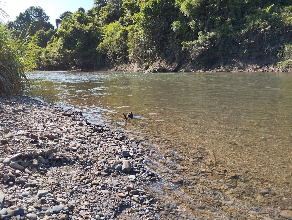 Petualangan di Sungai Sentaban, Kalimantan Utara: Eksplorasi Alam Liar Borneo