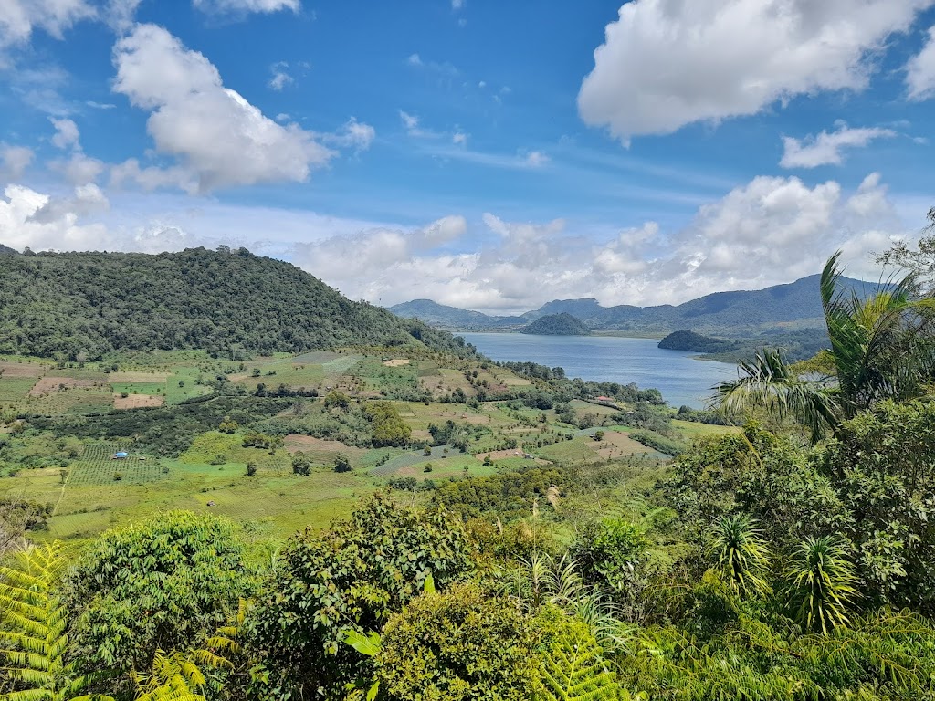 Puncak Moat: Pesona Alam Tersembunyi di Bolaang Mongondow Timur