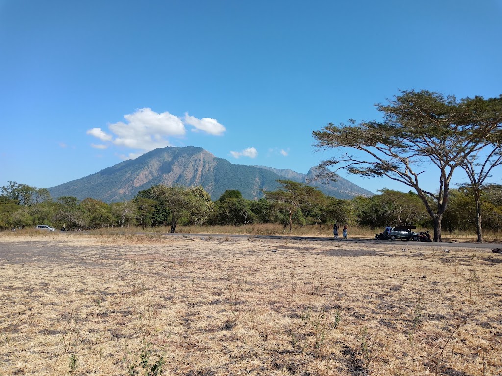 Jelajah Taman Nasional Baluran: Savana Afrika di Jawa Timur
