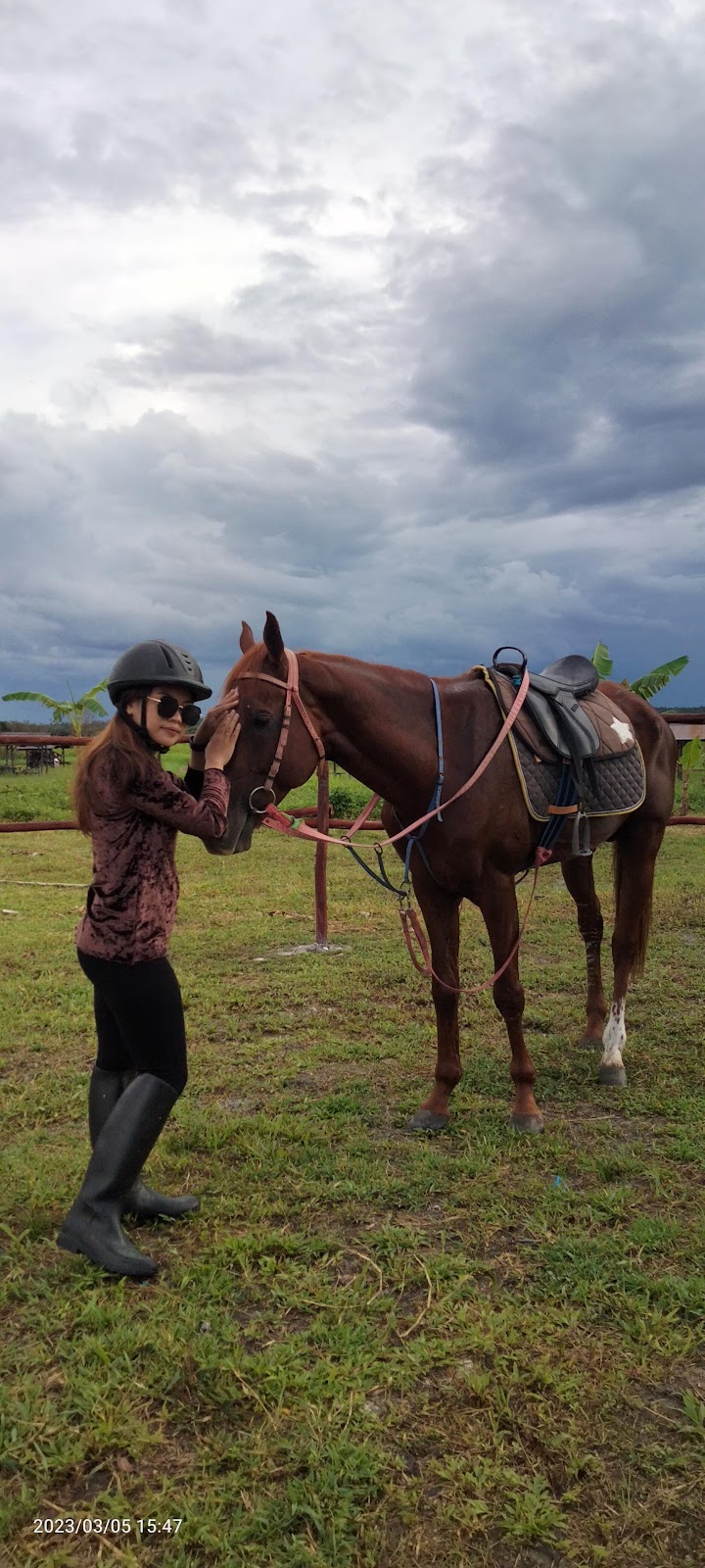 Wisata Edukasi Berkuda: Petualangan Seru di Ponpes Raudhatul Jannah, Palangka Raya