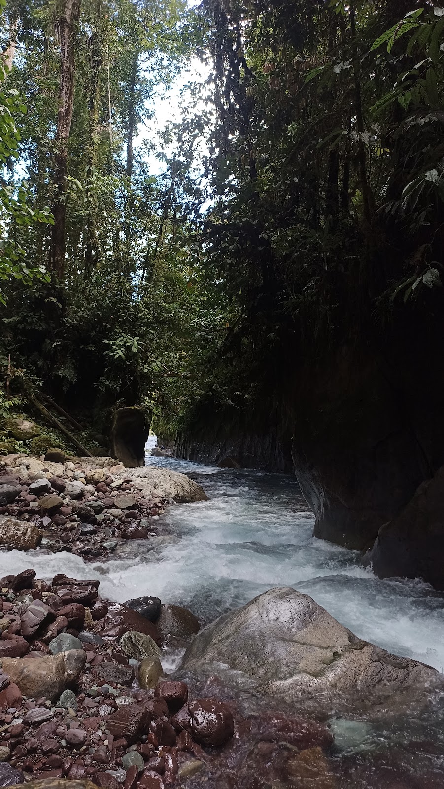 Air Terjun Trans Nabire (Kali Kyura): Permata Tersembunyi di Papua