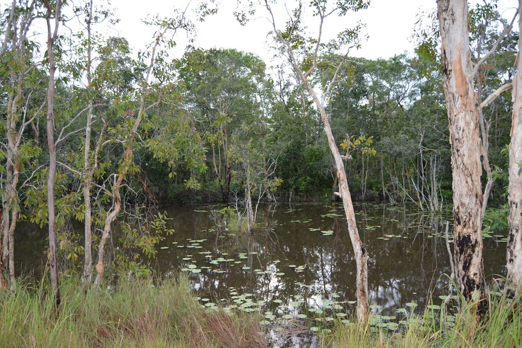 Taman Nasional Wasur: Surga Keanekaragaman Hayati Papua