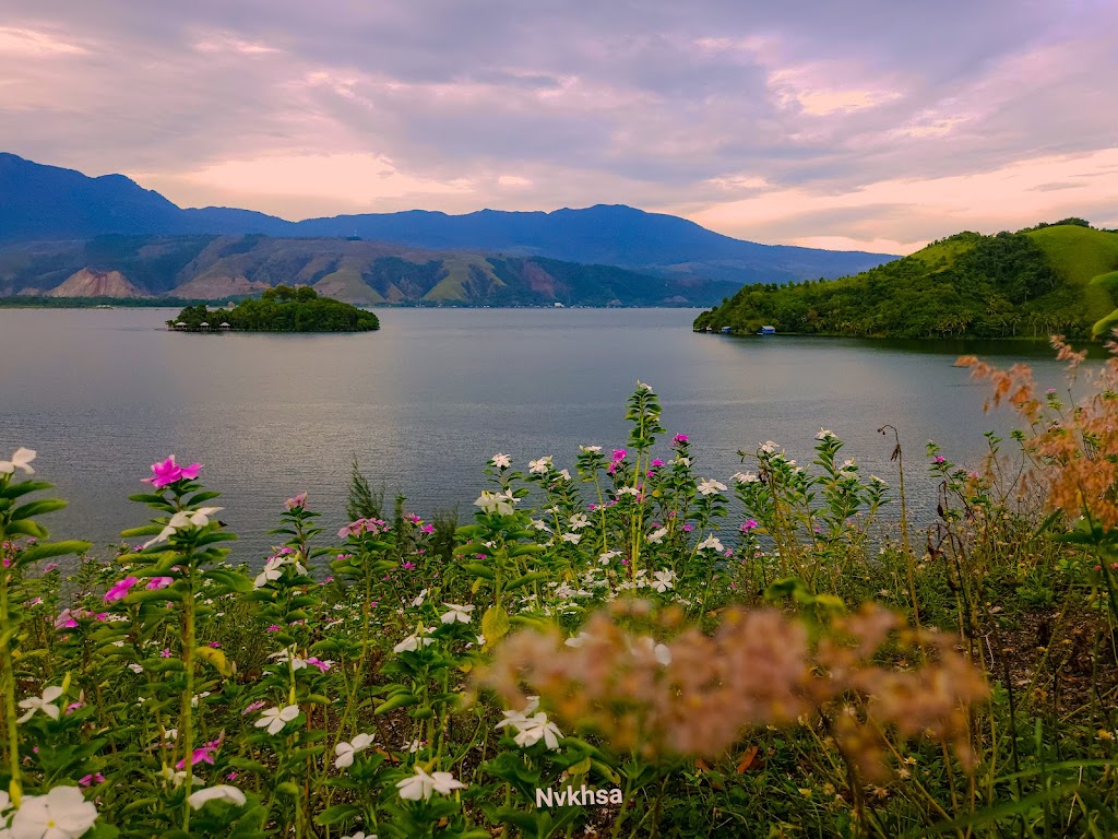 Bukit Hoboy: Petualangan di Atas Awan Papua