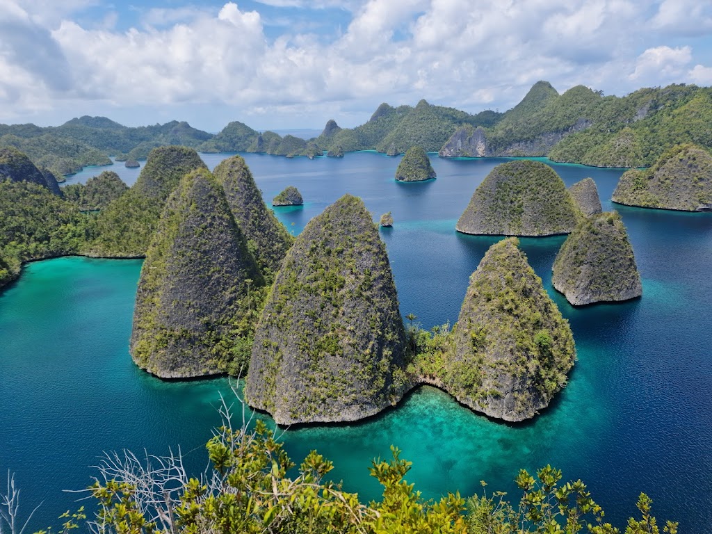 Surga Tersembunyi Wayag: Keindahan Raja Ampat yang Memukau