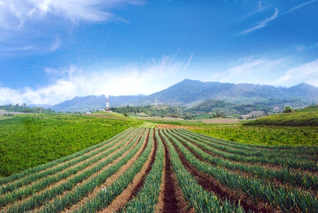 Jelajah Pesona Wisata Modoinding, Sulawesi Utara