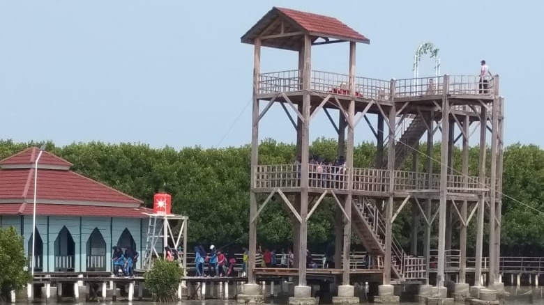 Menjelajah Hutan Mangrove Brebes: Keindahan Tersembunyi di Jawa Tengah