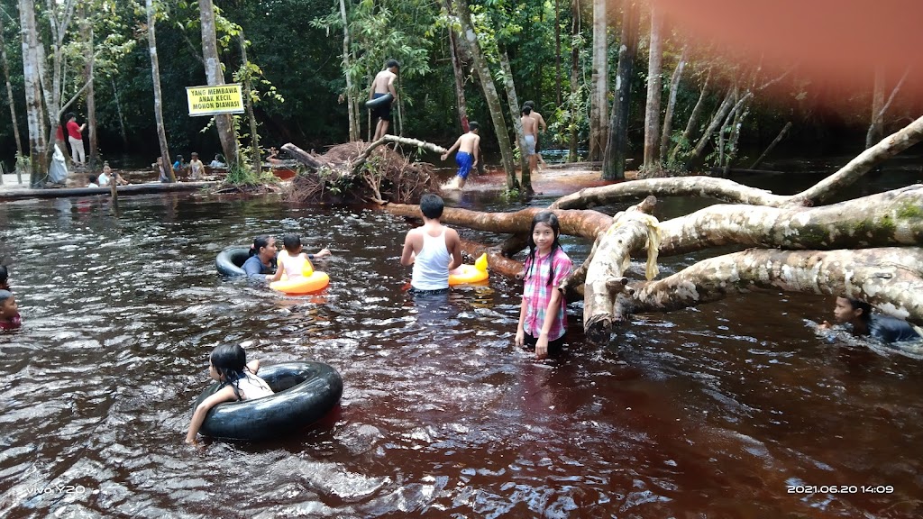 Jelajah Danum Bahandang: Pesona Alam Kalimantan Tengah