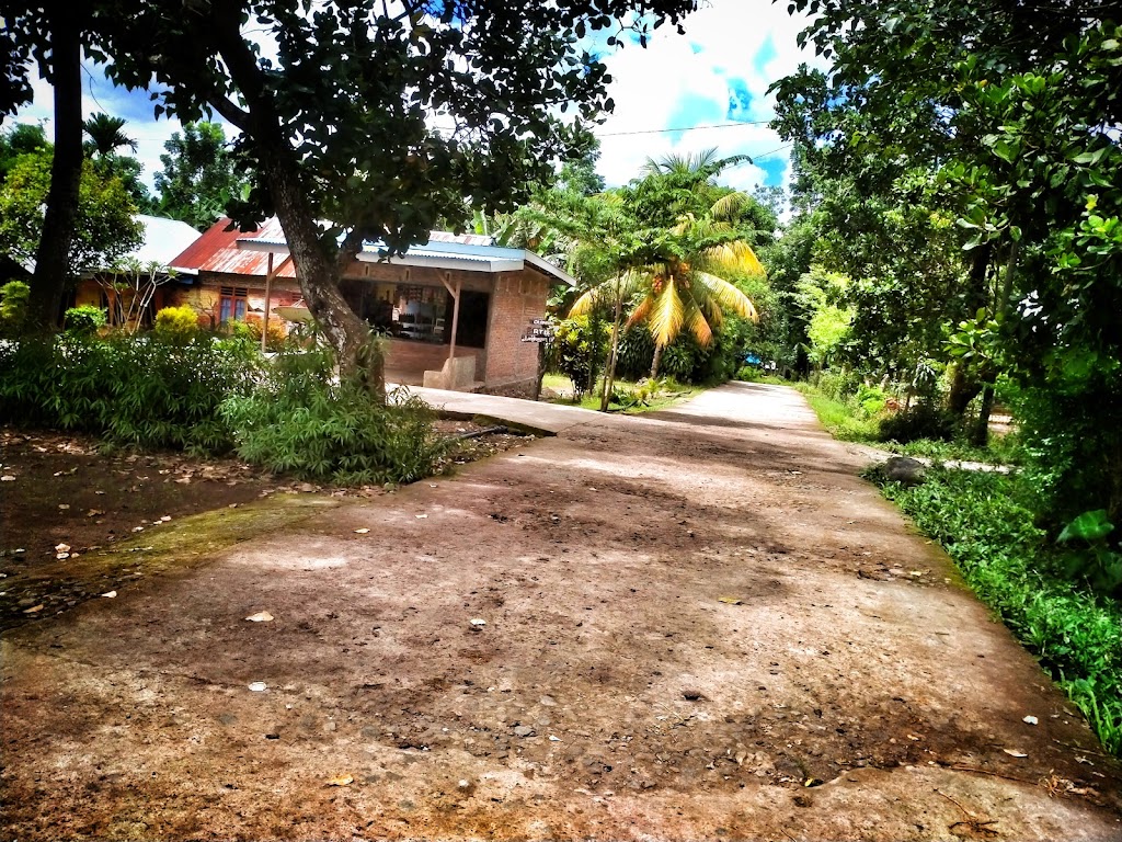 Jelajahi Kampung Olanage: Pesona Tersembunyi di Nagekeo, Nusa Tenggara Timur