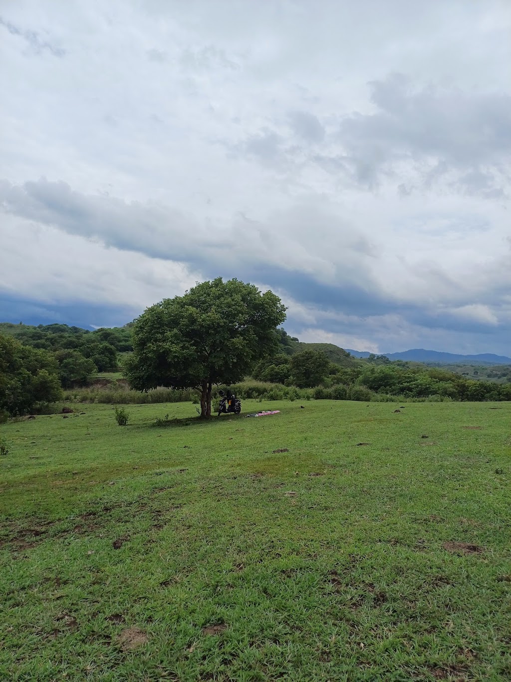 Bukit Cinta Dena Biko: Pesona Bukit di Nagekeo, Nusa Tenggara Timur