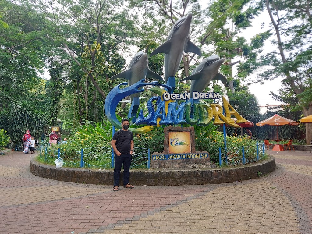 Ocean Dream Samudra Ancol: Petualangan Bahari di Jakarta