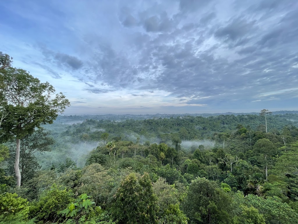 Jelajahi Pesona Wisata Batu Dinding di Kalimantan Timur