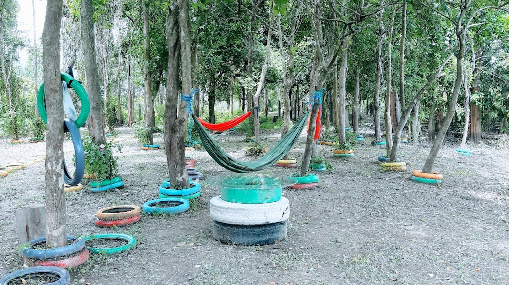 Pesona Tanjung Kayu Bunga di Kalimantan Timur: Surga Tersembunyi di Kutai Kartanegara