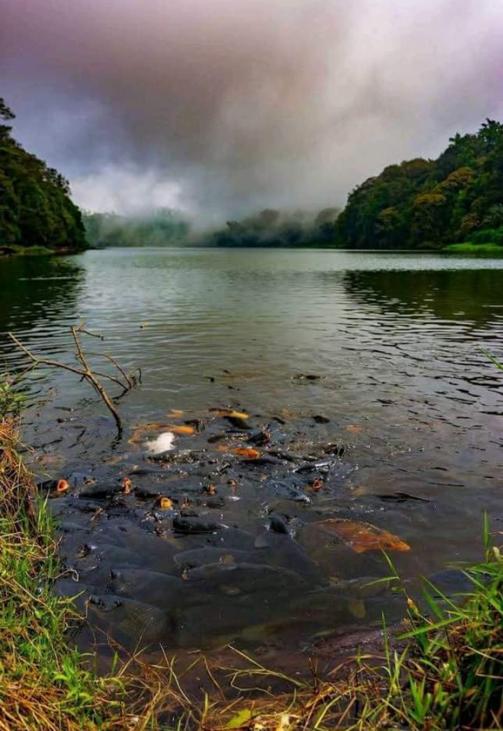 Telaga Kecil Igubula: Pesona Tersembunyi di Halmahera Utara