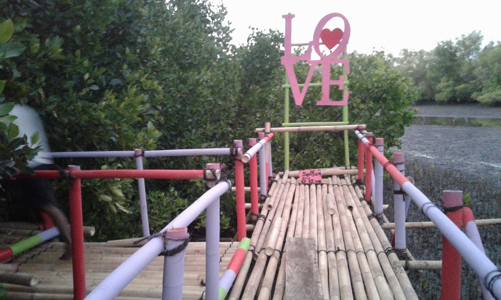 Jelajahi Keindahan Wisata Mangrove Maropokot, Nusa Tenggara Timur