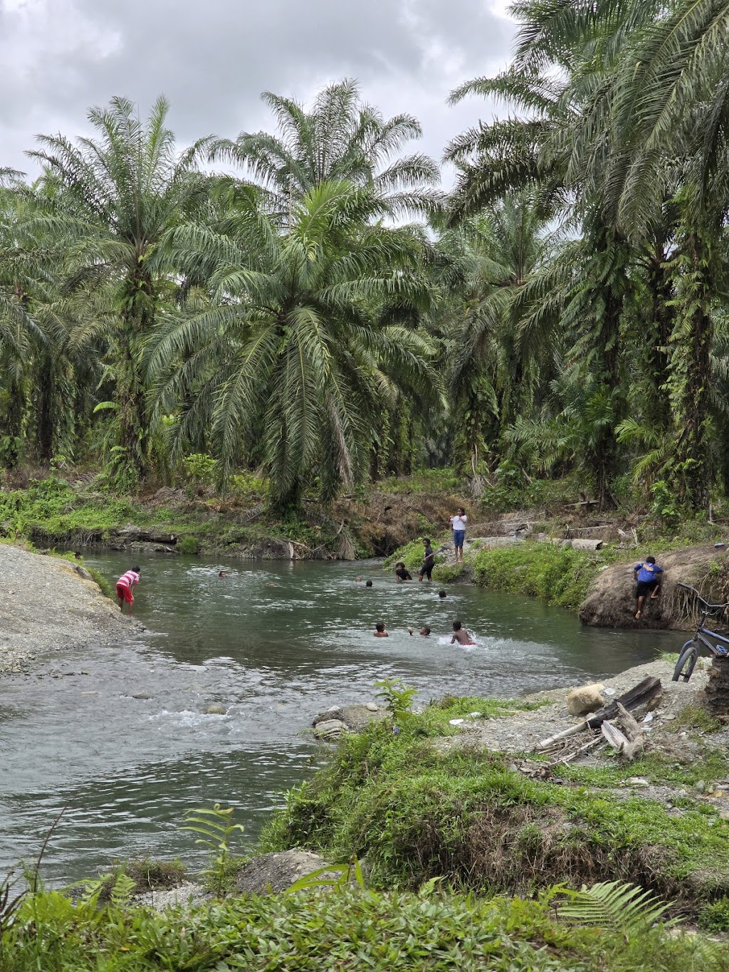 Menjelajah Kali Dingin KMP. Meyah Osiroida, Papua Barat: Pesona Alam Tersembunyi