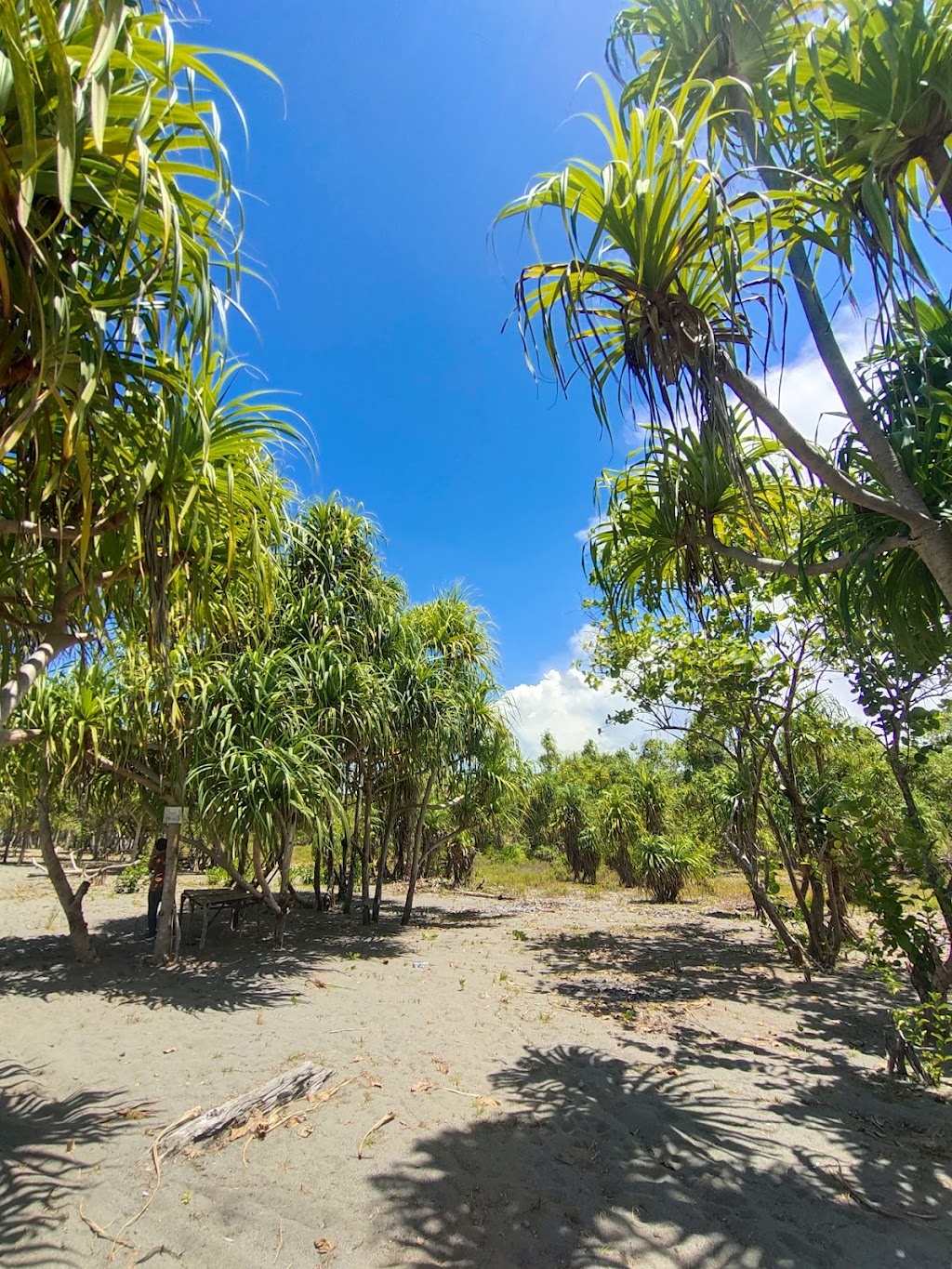 Pesona Pantai Wisata Igom Voij, Papua Barat: Surga Tersembunyi di Tanah Papua