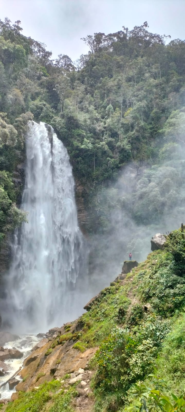 Air Terjun Memti: Pesona Tersembunyi di Pegunungan Arfak, Papua Barat