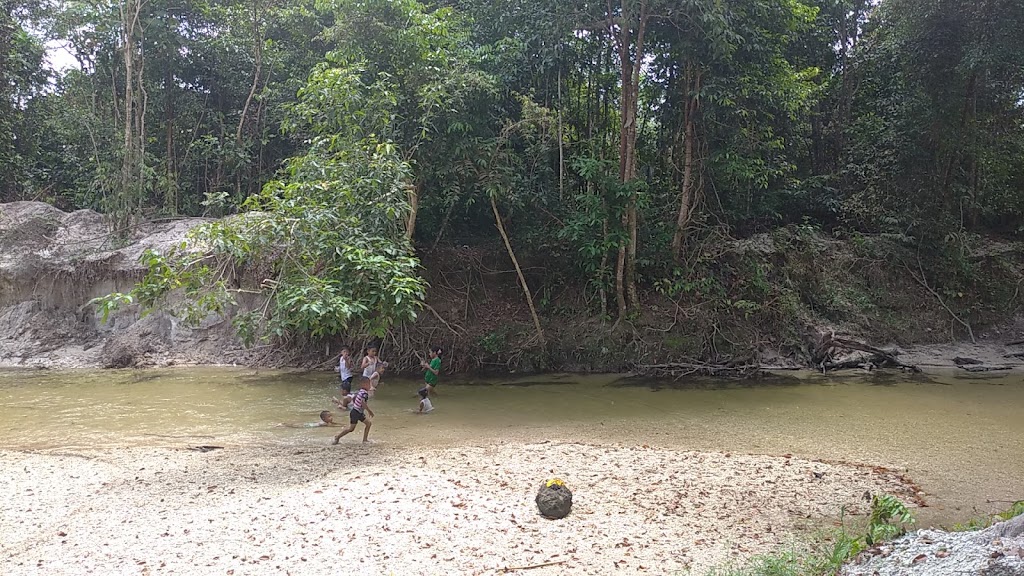 Jelajahi Keindahan Alam Tersembunyi: Eko Wisata Hutan Adat Imbo Putui