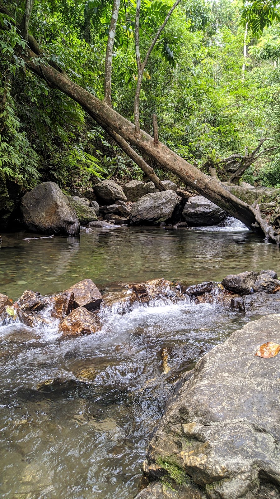 Segarnya Permadian Multi Baito di Konawe Selatan