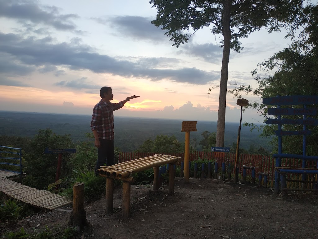 Bukit Pendape: Pesona Tersembunyi di Musi Banyuasin