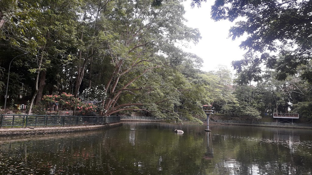 Menjelajahi Taman Kearifan UGM: Oase Pengetahuan di Yogyakarta